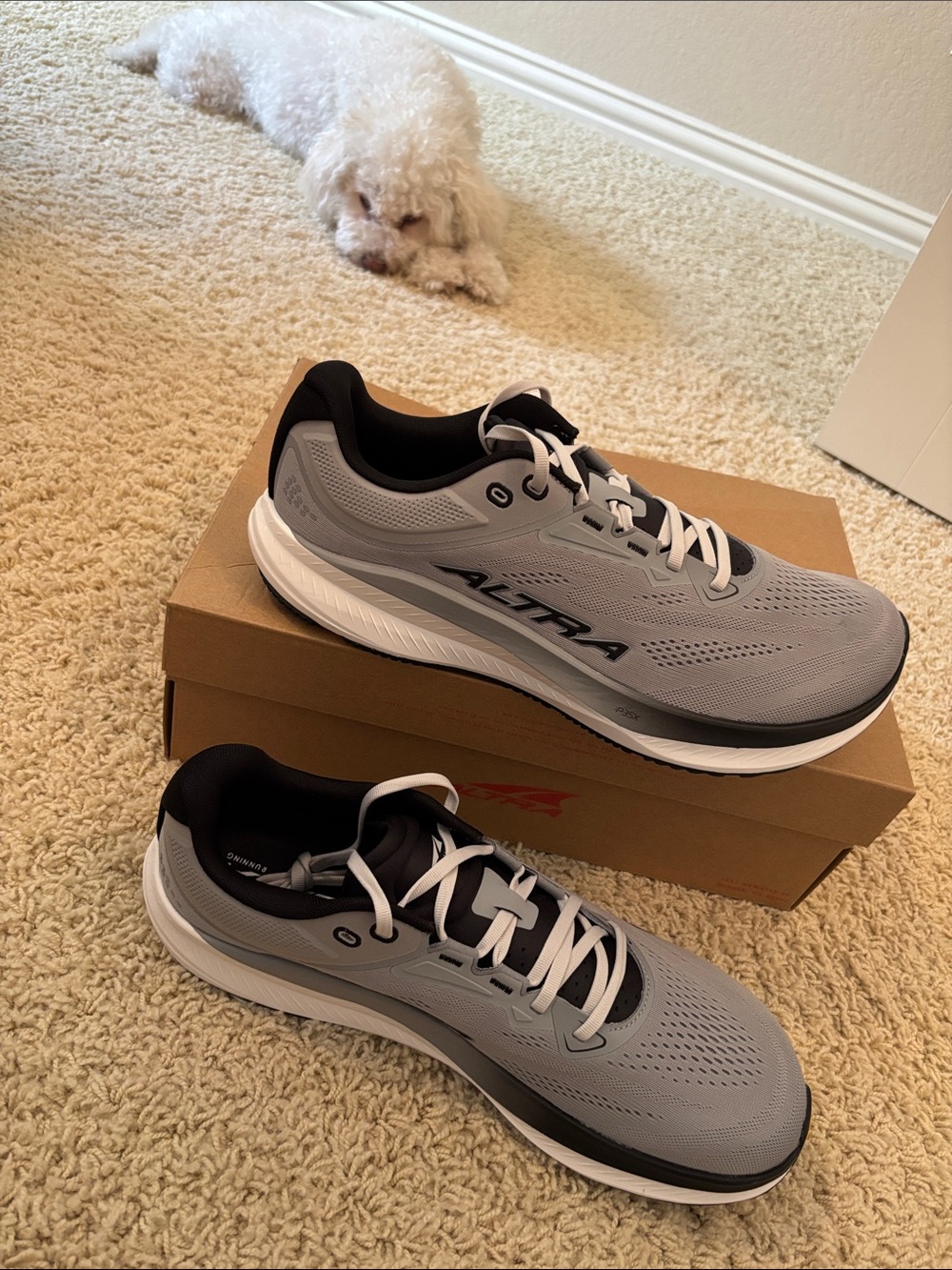 Altra M Torin 9 Running Shoes